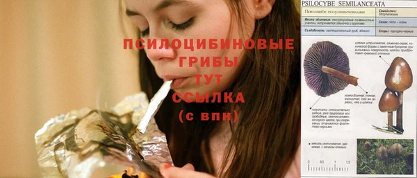 мяу мяу мука Арсеньев