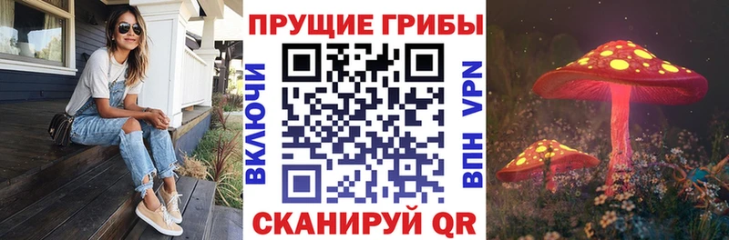 закладка  Мураши  Галлюциногенные грибы Magic Shrooms 